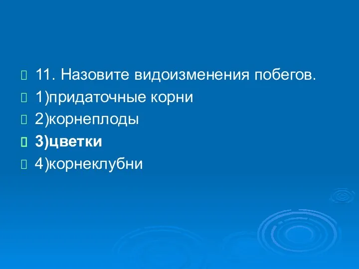 11. Назовите видоизменения побегов. 1)придаточные корни 2)корнеплоды 3)цветки 4)корнеклубни