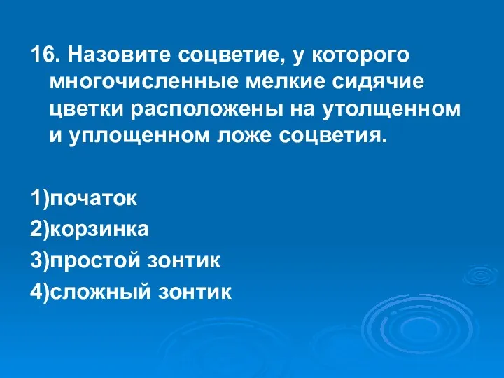 16. Назовите соцветие, у которого многочисленные мелкие сидячие цветки расположены