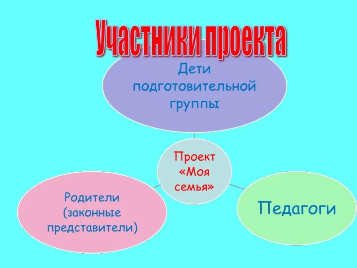 Участники проекта