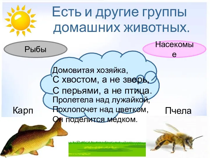 Есть и другие группы домашних животных. С хвостом, а не