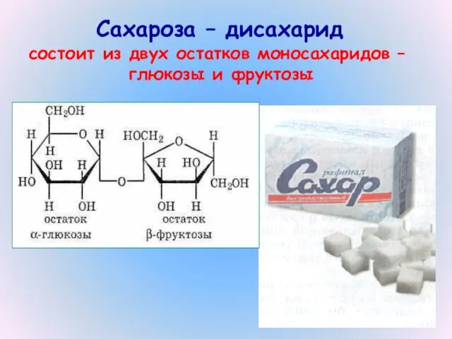 Сахароза – дисахарид состоит из двух остатков моносахаридов – глюкозы и фруктозы