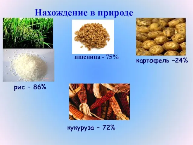 кукуруза – 72% рис – 86% картофель –24% Нахождение в природе пшеница - 75%