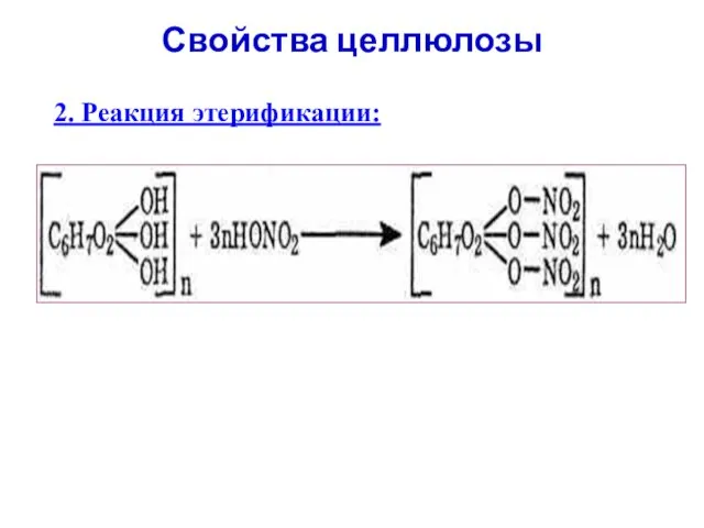 Свойства целлюлозы 2. Реакция этерификации: