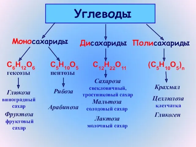 Углеводы