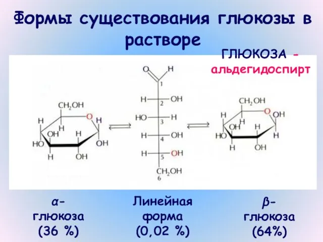 Формы существования глюкозы в растворе α- глюкоза (36 %) β-