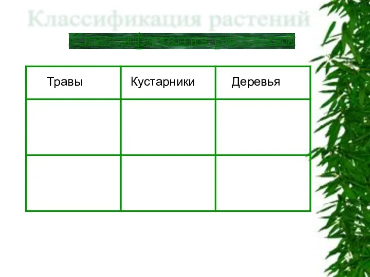 Классификация растений Травы Кустарники Деревья