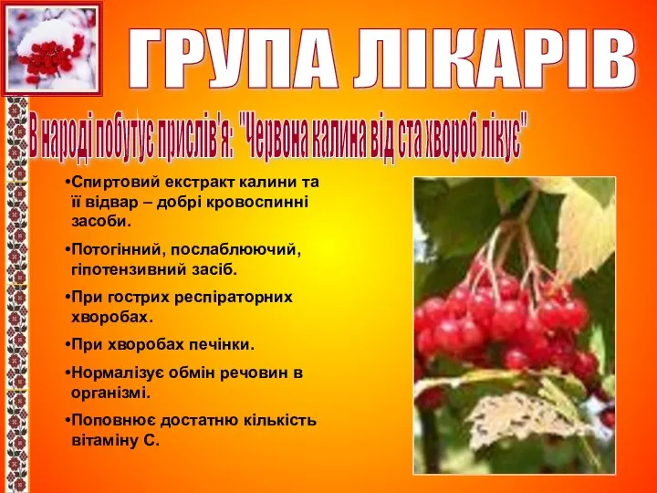 ГРУПА ЛІКАРІВ В народі побутує прислів'я: ''Червона калина від ста