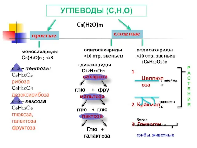 УГЛЕВОДЫ (C,H,O) Cn(H2O)m простые сложные моносахариды Сn(H2O)n ; n>3 полисахариды