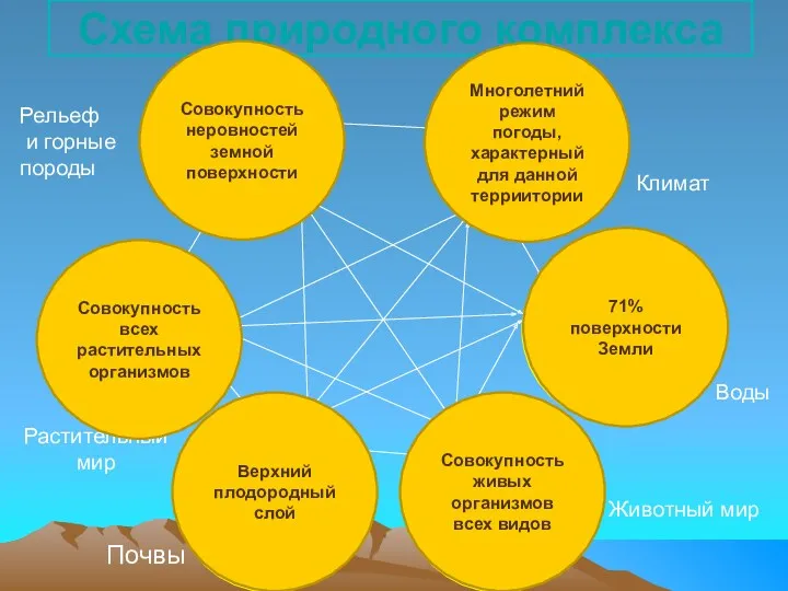 Схема природного комплекса Климат Воды Животный мир Почвы Растительный мир