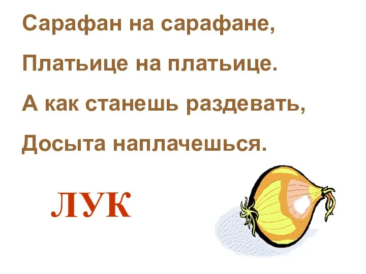 Сарафан на сарафане, Платьице на платьице. А как станешь раздевать, Досыта наплачешься. ЛУК