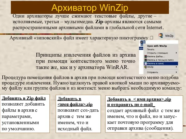 Архиватор WinZip Одни архиваторы лучше сжимают текстовые файлы, другие – исполняемые, третьи –