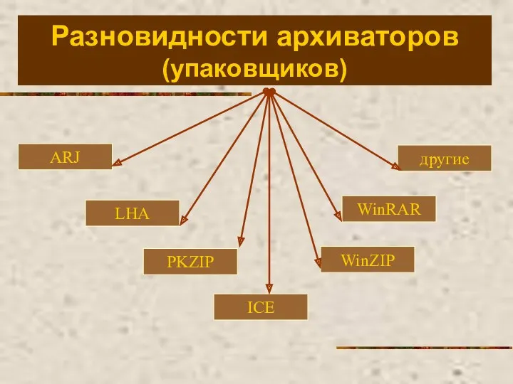 Разновидности архиваторов (упаковщиков) ARJ LHA PKZIP ICE WinZIP WinRAR другие