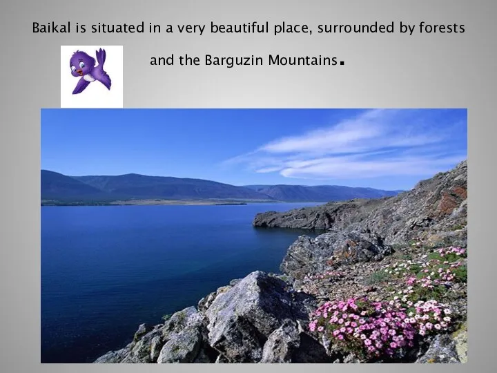 Baikal is situated in a very beautiful place, surrounded by forests and the Barguzin Mountains.