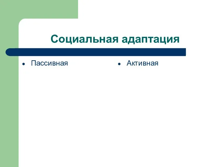 Социальная адаптация Пассивная Активная