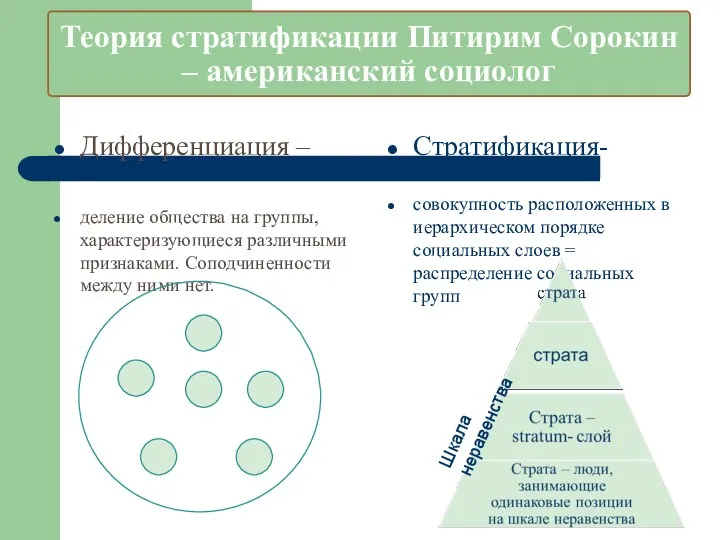 Теория стратификации Питирим Сорокин – американский социолог Дифференциация – деление