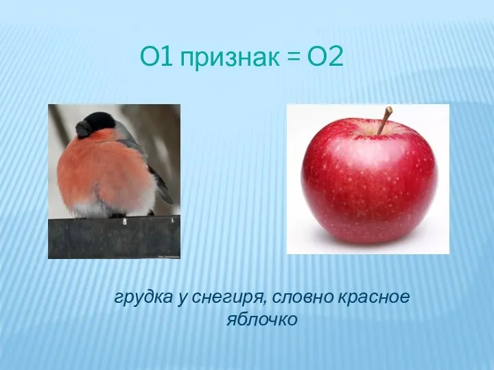 О1 признак = О2 грудка у снегиря, словно красное яблочко