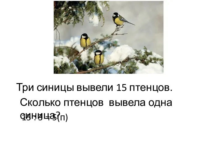 Три синицы вывели 15 птенцов. Сколько птенцов вывела одна синица? 15 : 3 = 5(п)