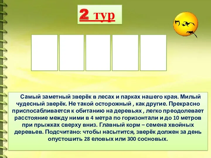 2 тур Самый заметный зверёк в лесах и парках нашего края. Милый чудесный