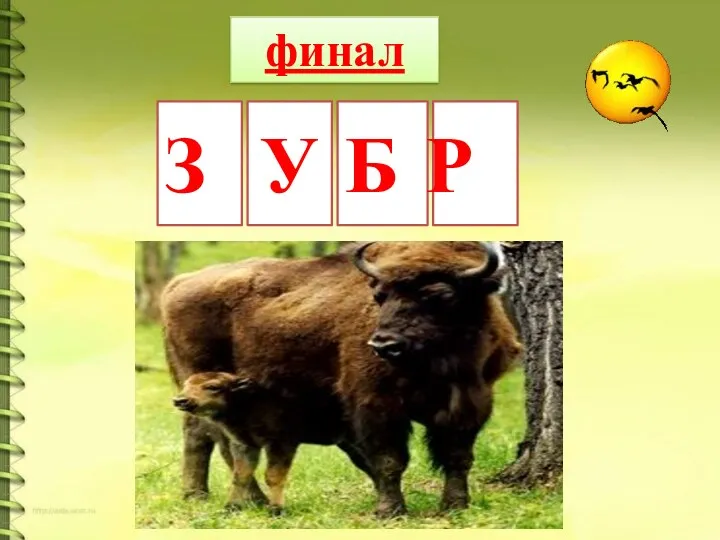 финал З У Б Р