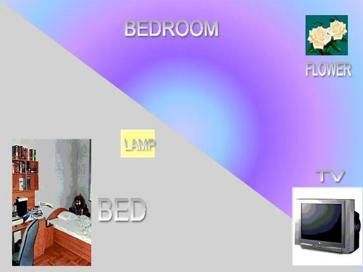BEDROOM BED LAMP TV FLOWER