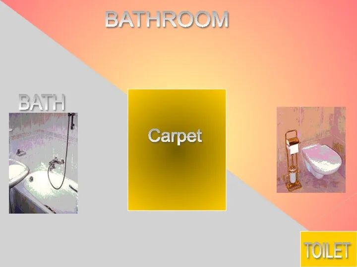 BATHROOM BATH TOILET Carpet