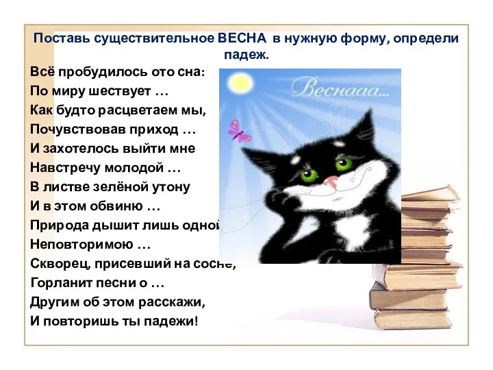 Поставь существительное ВЕСНА в нужную форму, определи падеж. Всё пробудилось