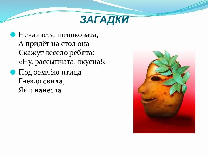 ЗАГАДКИ Неказиста, шишковата, А придёт на стол она — Скажут