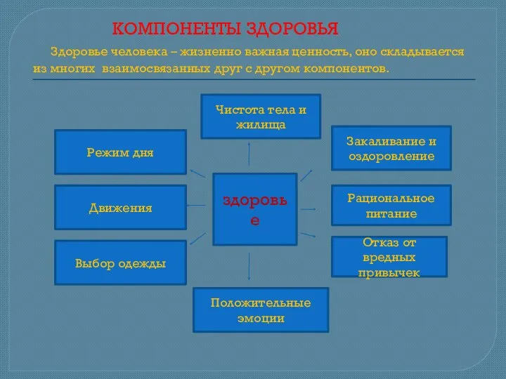 КОМПОНЕНТЫ ЗДОРОВЬЯ Здоровье человека – жизненно важная ценность, оно складывается