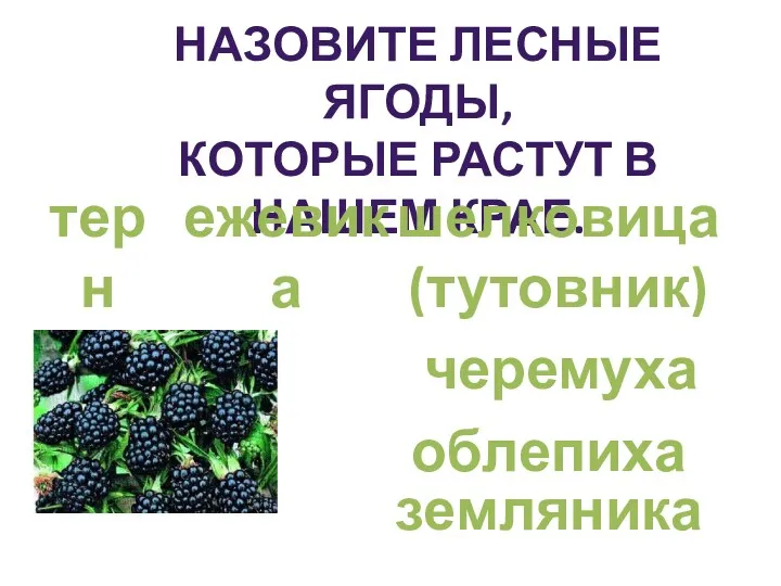 Назовите лесные ягоды, Которые растут в нашем крае. терн ежевика шелковица (тутовник) черемуха облепиха земляника