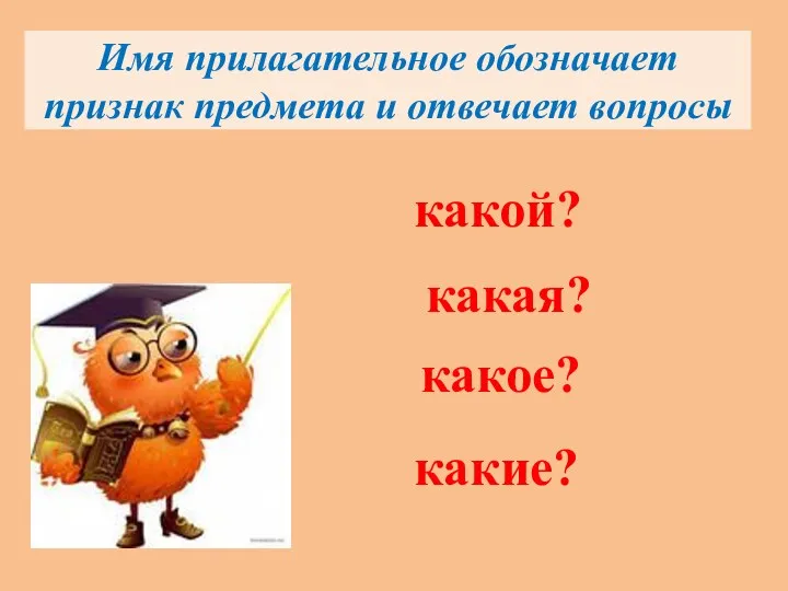 Имя прилагательное обозначает признак предмета и отвечает вопросы какой? какая? какое? какие?