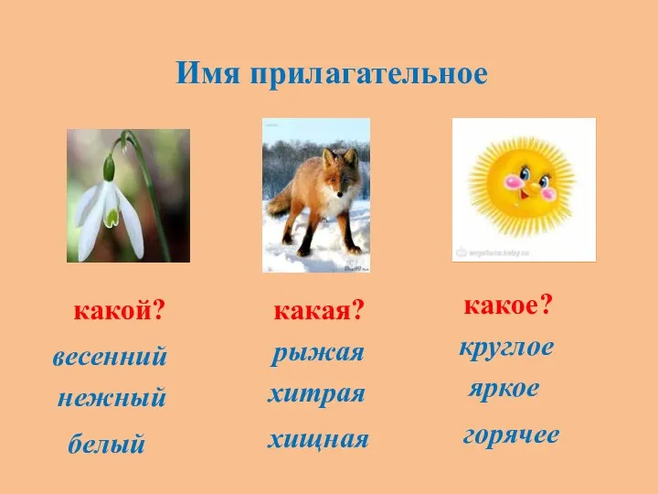 Имя прилагательное какой? какая? какое? весенний нежный белый рыжая хитрая хищная круглое яркое горячее