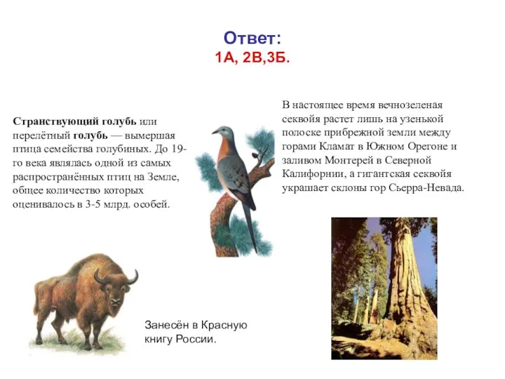 Ответ: 1А, 2В,3Б. 14 Странствующий голубь или перелётный голубь — вымершая птица семейства