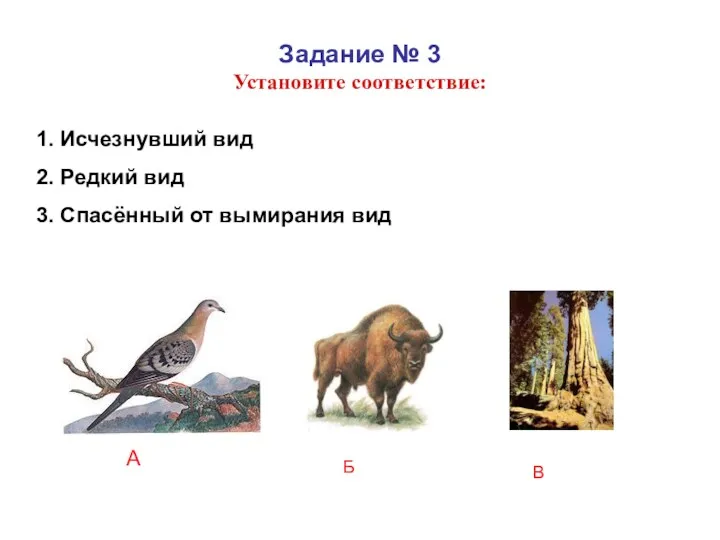 Задание № 3 Установите соответствие: 1. Исчезнувший вид 2. Редкий вид 3. Спасённый