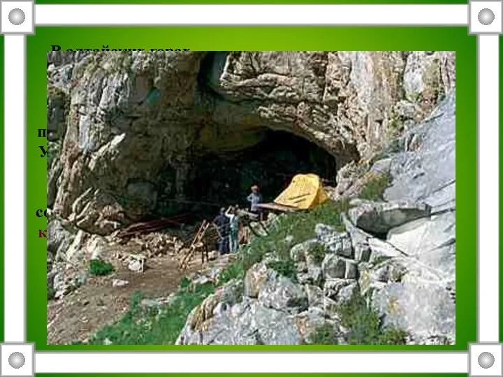 В алтайских горах археологи изучают древнее обиталище снежного человека - пещеру Алмыс-Туу-Бом. Ученые