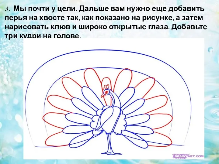 3. Мы почти у цели. Дальше вам нужно еще добавить перья на хвосте