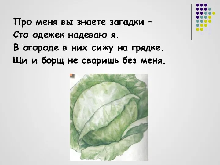 Про меня вы знаете загадки – Сто одежек надеваю я.