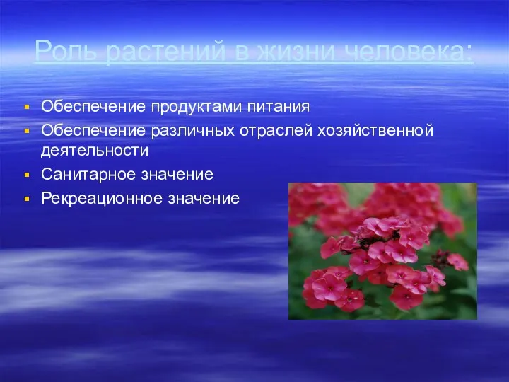 Роль растений в жизни человека: Обеспечение продуктами питания Обеспечение различных