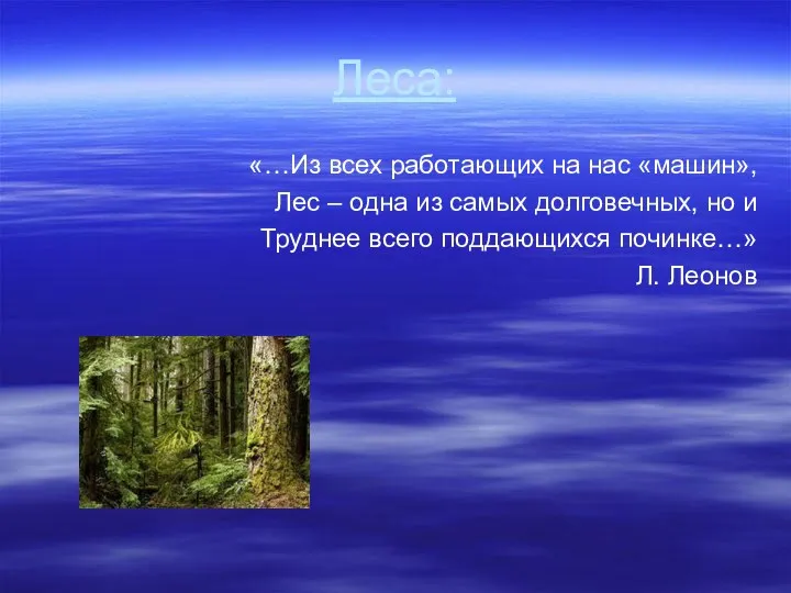 Леса: «…Из всех работающих на нас «машин», Лес – одна