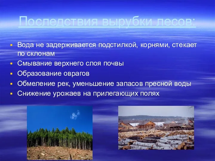 Последствия вырубки лесов: Вода не задерживается подстилкой, корнями, стекает по