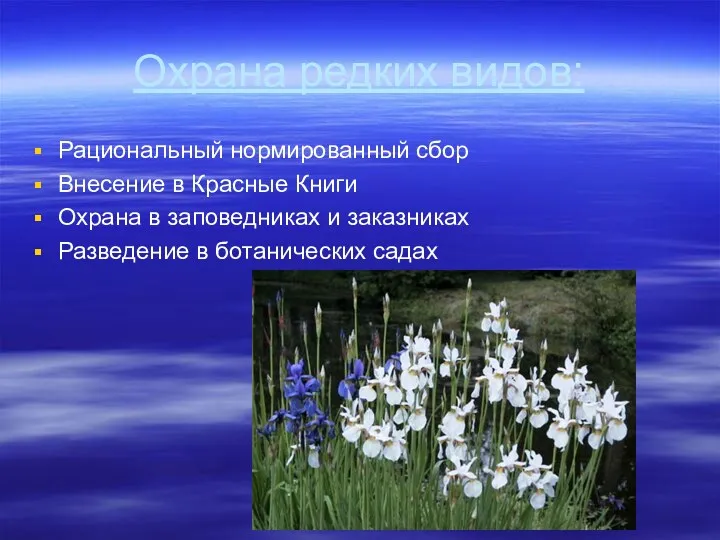 Охрана редких видов: Рациональный нормированный сбор Внесение в Красные Книги