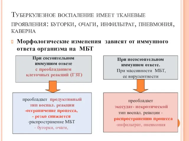 Туберкулезное воспаление имеет тканевые проявления: бугорки, очаги, инфильтрат, пневмония, каверна