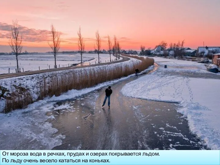 От мороза вода в речках, прудах и озерах покрывается льдом.