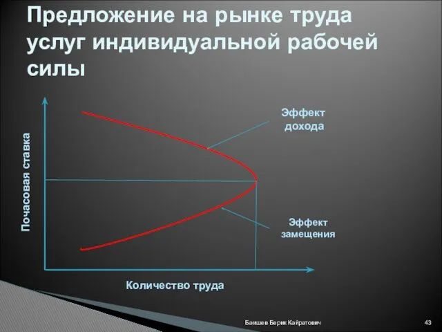 Баишев Берик Кайратович Предложение на рынке труда услуг индивидуальной рабочей