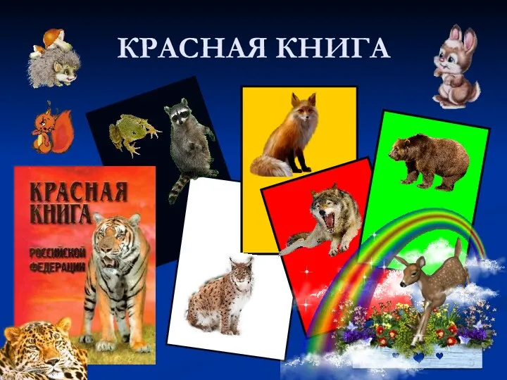 КРАСНАЯ КНИГА