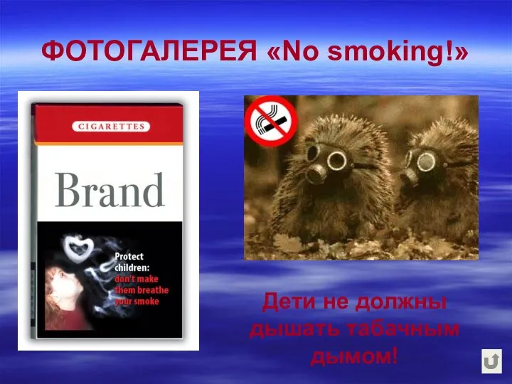 ФОТОГАЛЕРЕЯ «No smoking!» Дети не должны дышать табачным дымом!