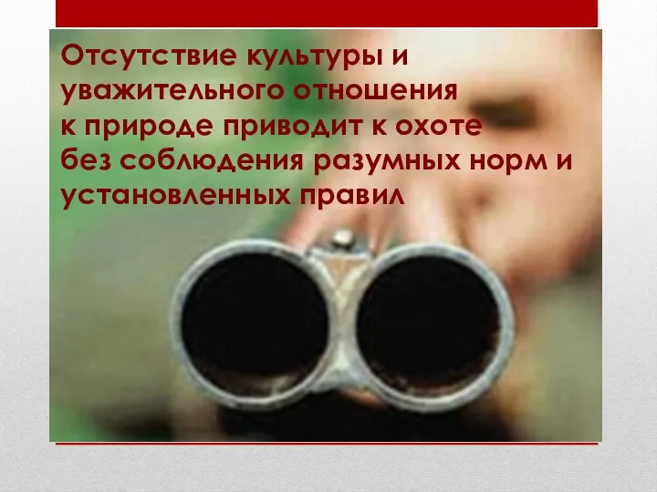 Отсутствие культуры и уважительного отношения к природе приводит к охоте без соблюдения разумных