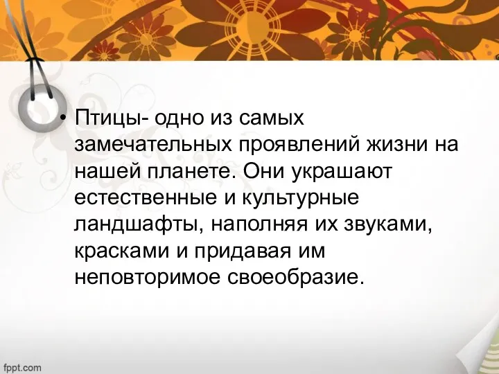 Птицы- одно из самых замечательных проявлений жизни на нашей планете.