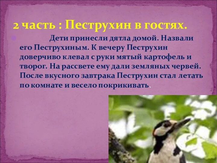 2 часть : Пеструхин в гостях. Дети принесли дятла домой.