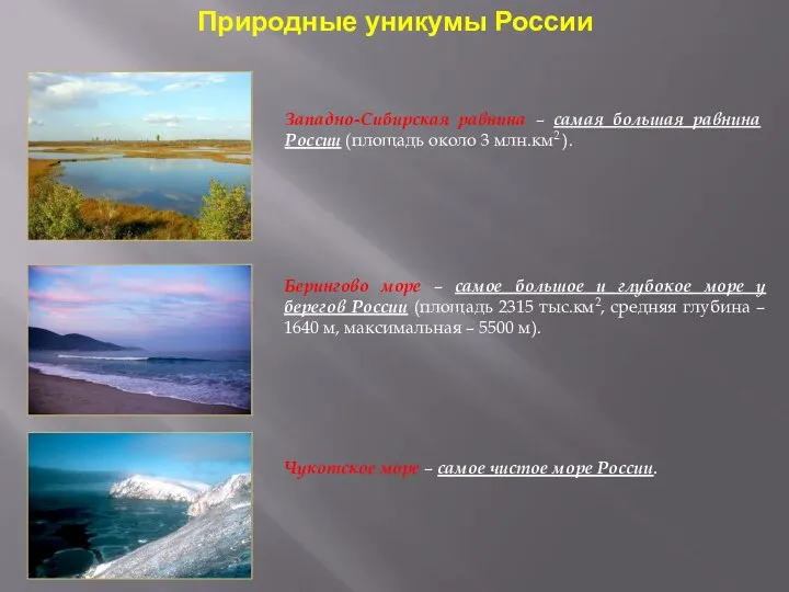 Природные уникумы России Западно-Сибирская равнина – самая большая равнина России