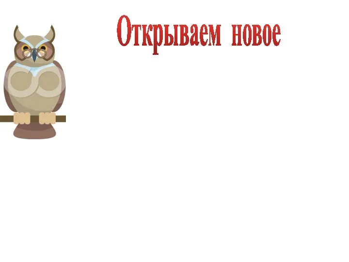 Открываем новое